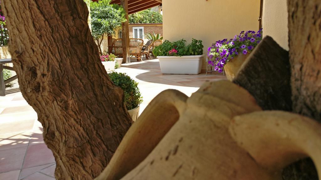 B&B Villa Maiolica San Leone Luaran gambar
